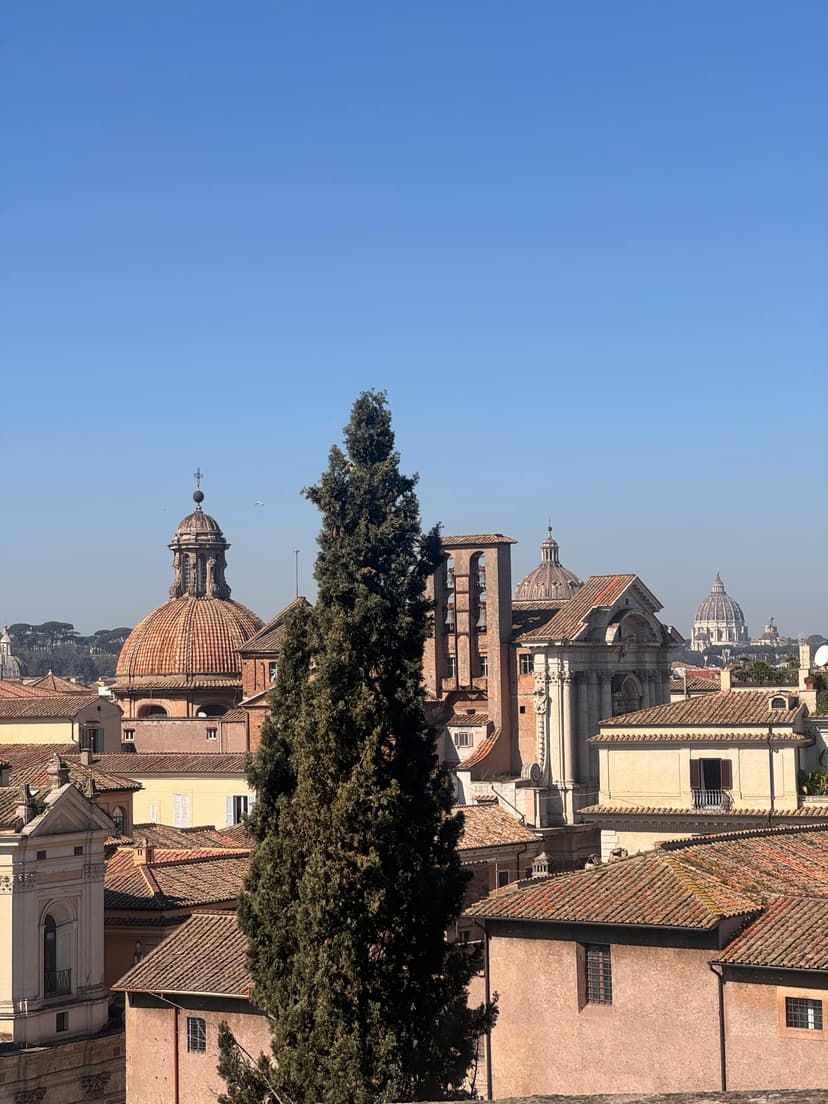 Yüksek Getirili Halka Arzlar: 2025 Beklentileri